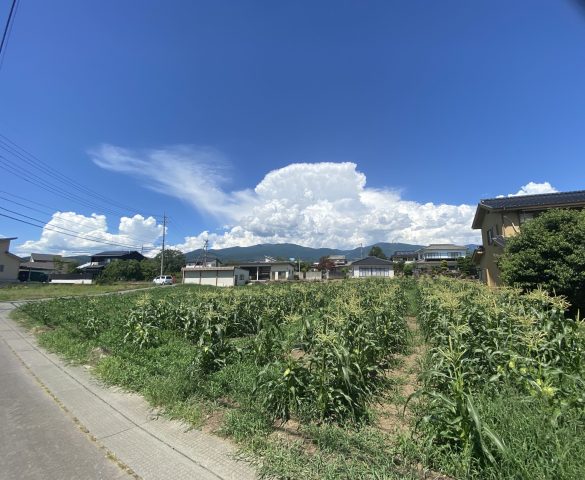 【新規物件】東御市加沢　土地(663㎡)